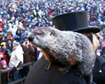 Groundhog Day